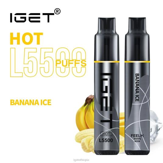 IGET Vape Price HOT - 5500 PUFFS B2066467 Banana Ice